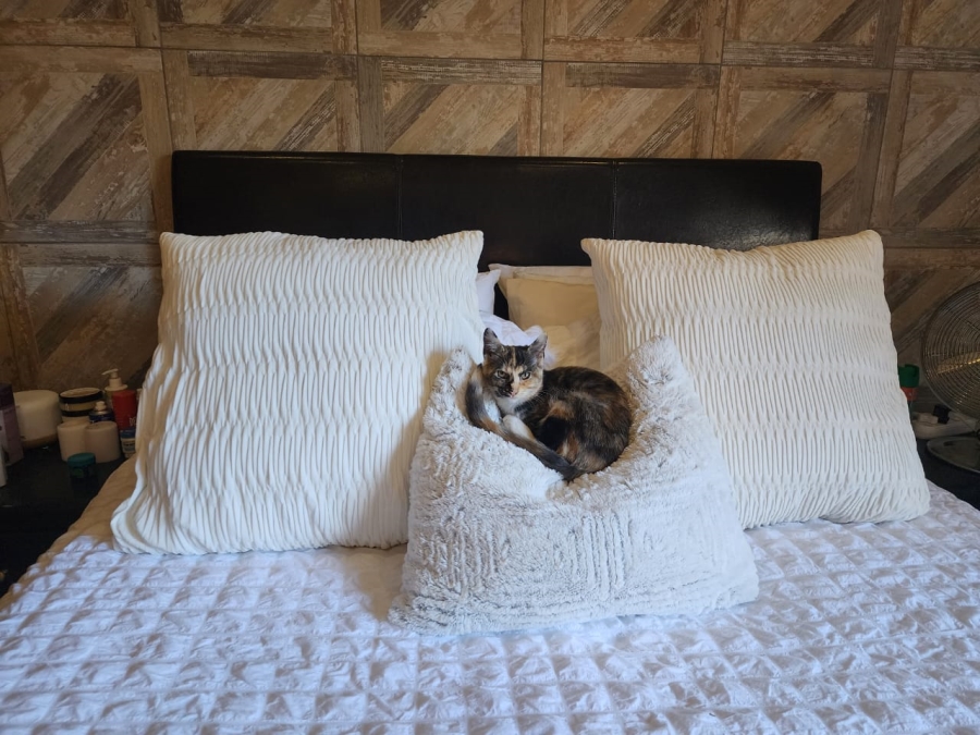 3 Bedroom Property for Sale in Winterstrand Eastern Cape